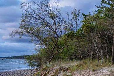 Asia Stocks Mixed, Nikkei Slumps: Fed easing bets vs. BOJ hike signals