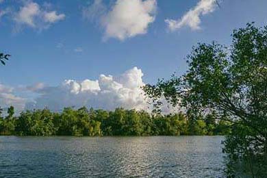 Codie Sanchez: Decoding Her Net Worth, Contrarian Thinking, and What the Web is Buzzing About