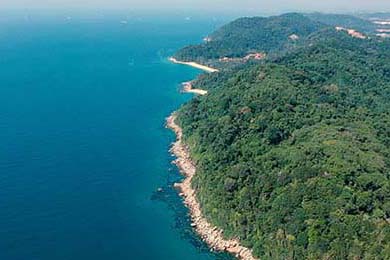 Asia Stocks Mixed, Nikkei Slumps: Fed easing bets vs. BOJ hike signals